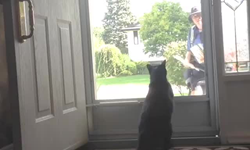 Funny Mail fails
